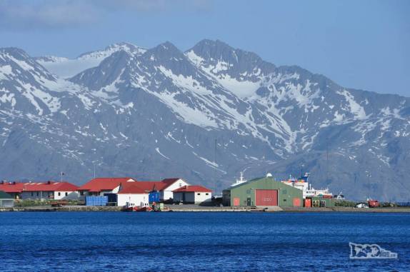 Tarde de sol em Grytviken, na Geórgia do Sul